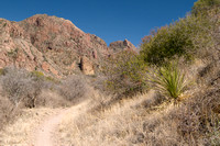 Trail in the Chisos Mountains