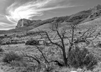 Chihuahuan Desert & The Guadalupe Mountains