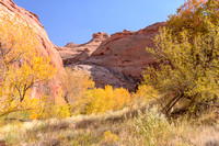 Fall Colors in Huricane Wash