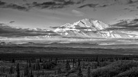 Denali at Sunrise