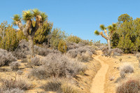 California Riding and Hiking Trail